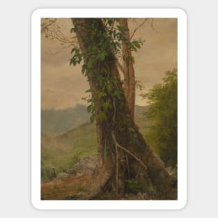 Tree with Vines, Jamaica, West Indies by Frederic Edwin Church Sticker